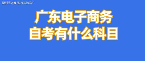 邢台电子商务专业怎么考