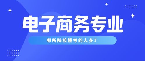 河南专接本电子商务专业