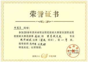 电子商务专业的职业资格
