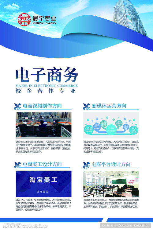 春考电子商务专业内容